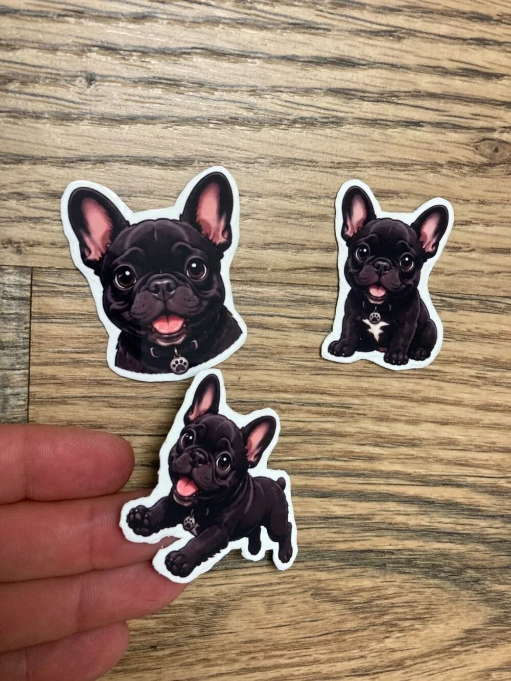 3 Flexible Dog Magnets Black French Bulldog Puppy Refrigerator Fridge Decor Set